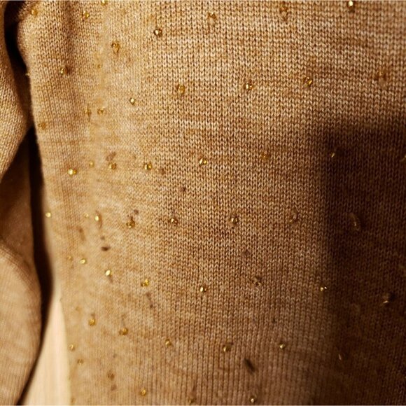 Banana Republic Womens Brown Wool Blend Embellished Sweater Small - Picture 4 of 7